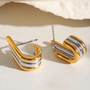Elegant Gold and Silver Hoop Earrings